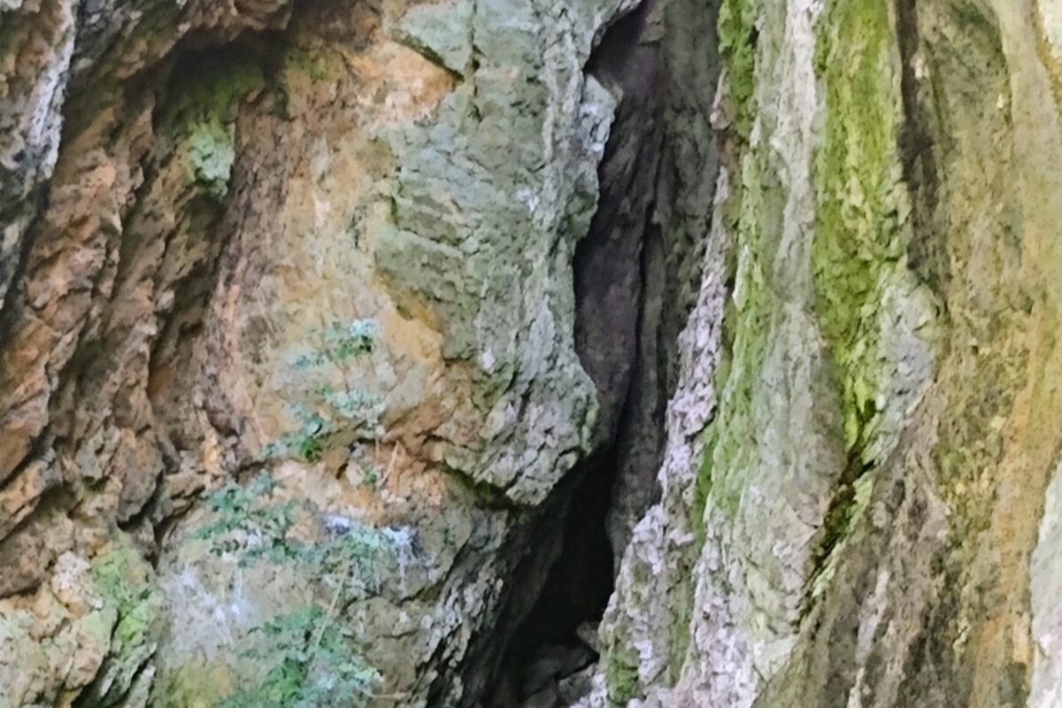 Photo from walk: Another cave