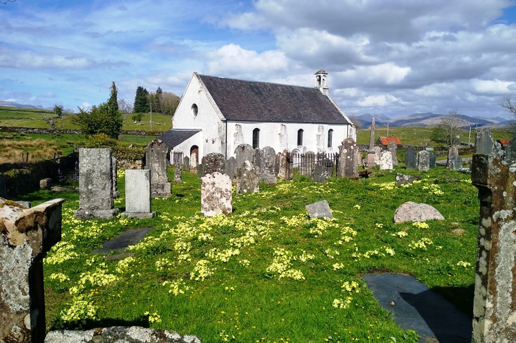 Graveyard, church and primroses
