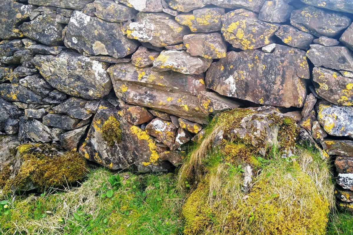 Wall between Port Castle and Port a’ Charrain