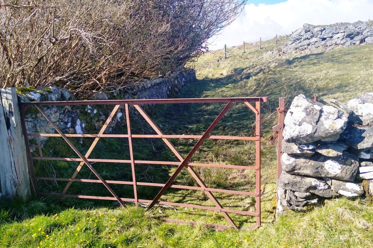 Frail gate on to the main road