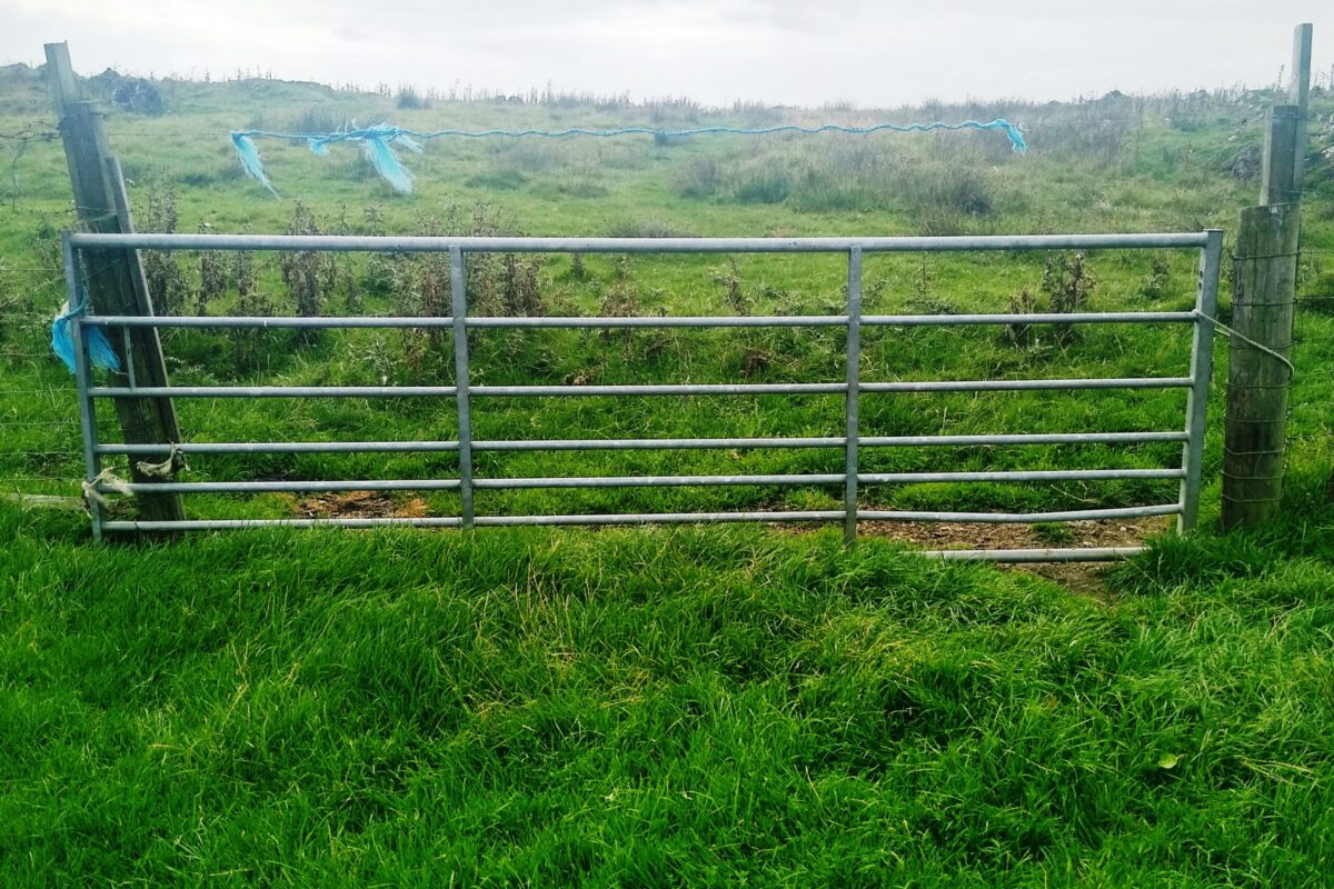 Gate with wire