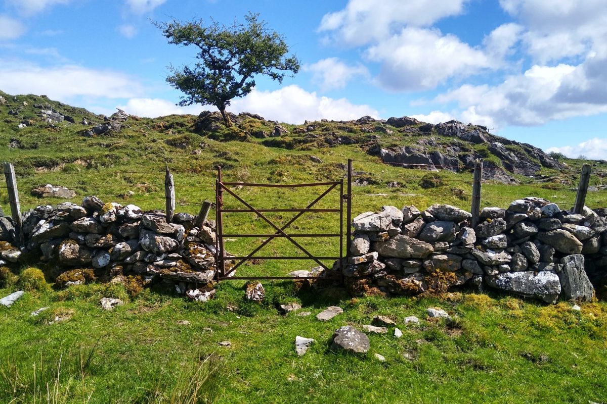 Small gate