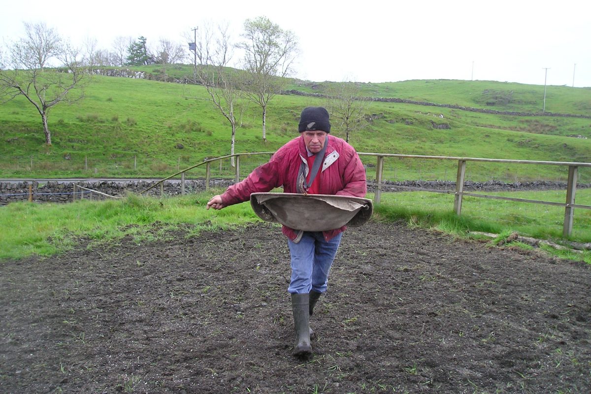 Archie MacColl sowing the flax seed May 2007