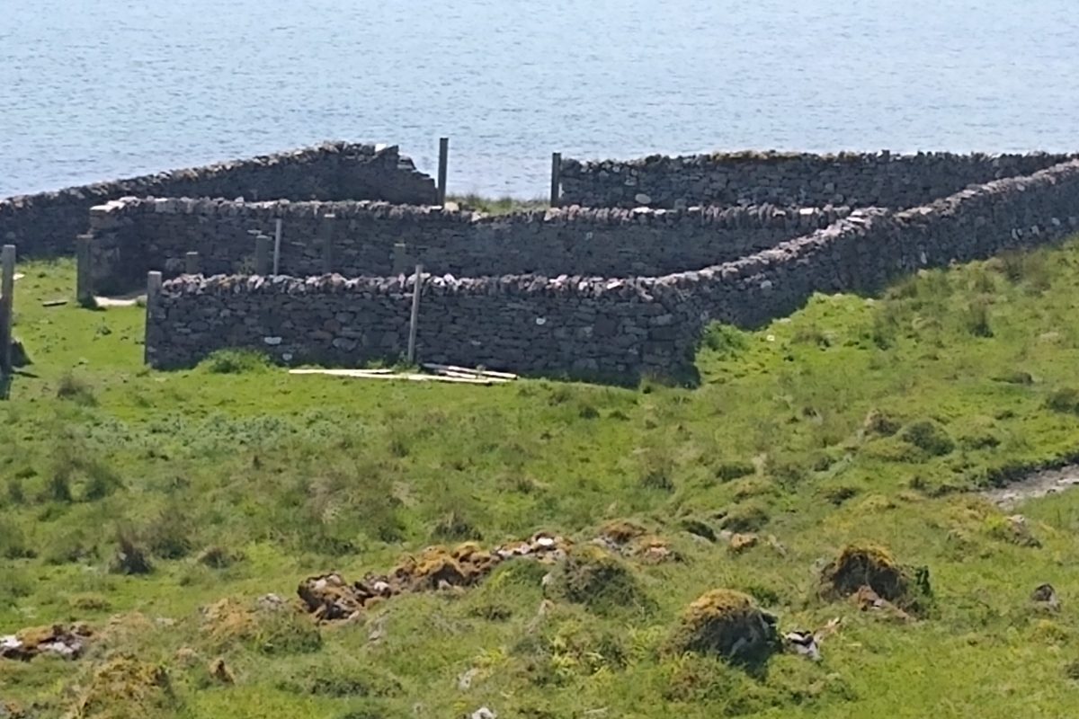 IMG_20200531_124654859